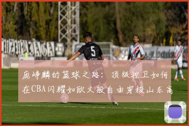 庞峥麟的篮球之路：顶级控卫如何在CBA闪耀如欧文般自由穿梭山东高速