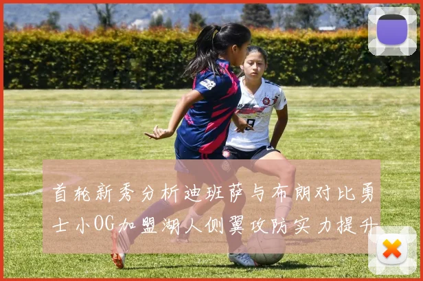 首轮新秀分析迪班萨与布朗对比勇士小OG加盟湖人侧翼攻防实力提升