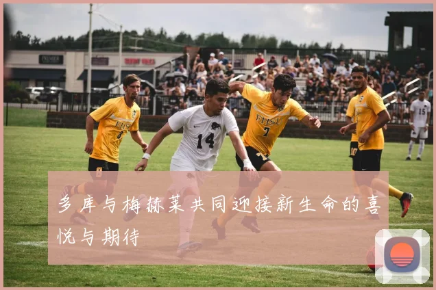 多库与梅赫莱共同迎接新生命的喜悦与期待